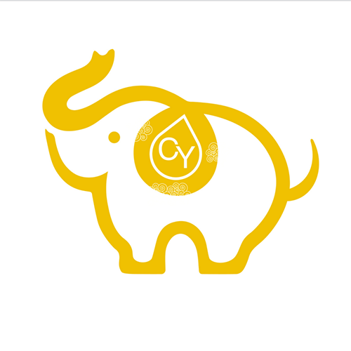 深圳慈逸珠宝有限公司